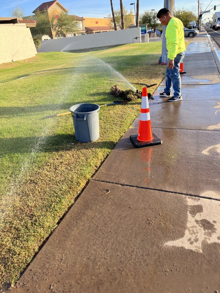 Photo of Lion Landscaping Arizona