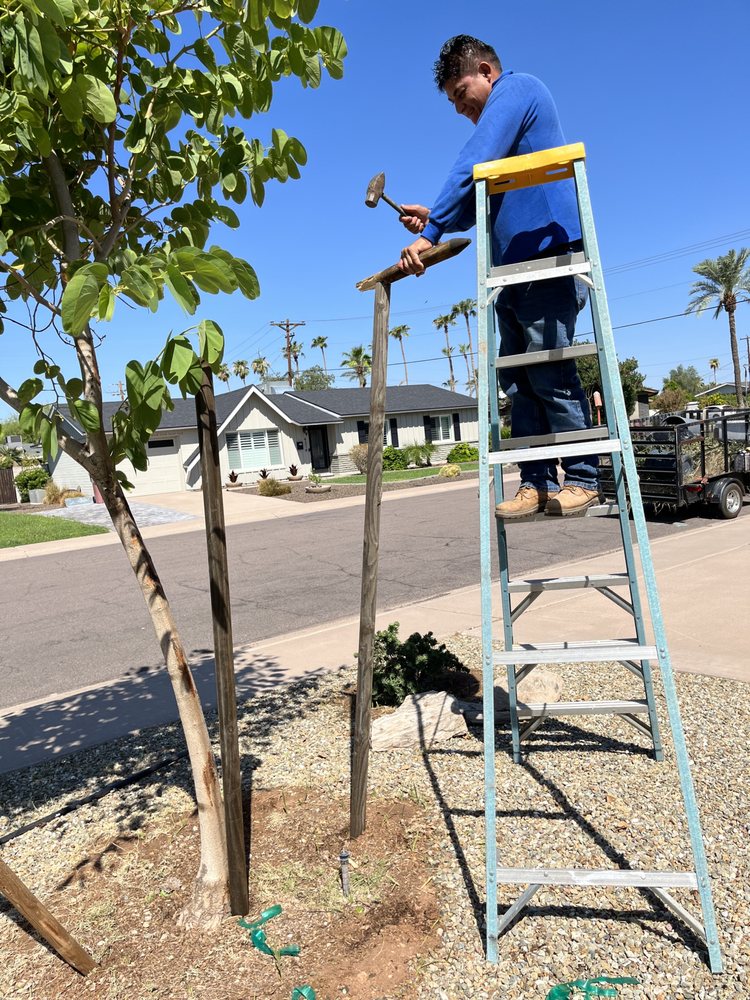 Photo of Lion Landscaping Arizona