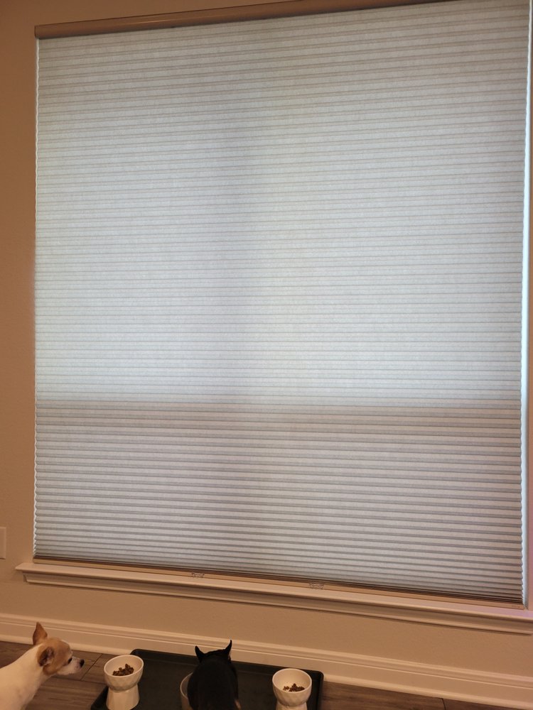 Photo of Affordable Blinds