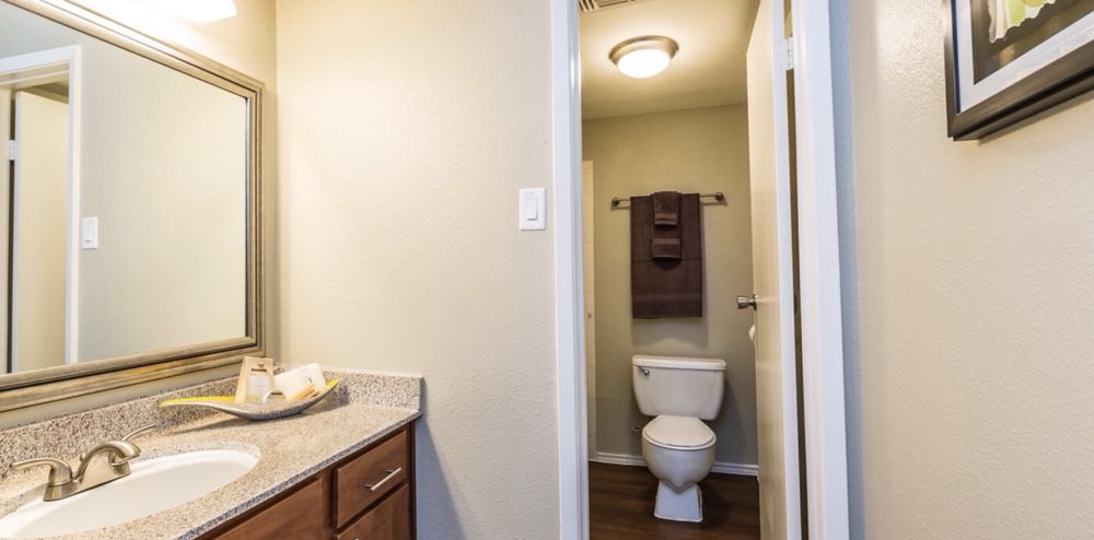 Photo of A Plus Paint & Construction