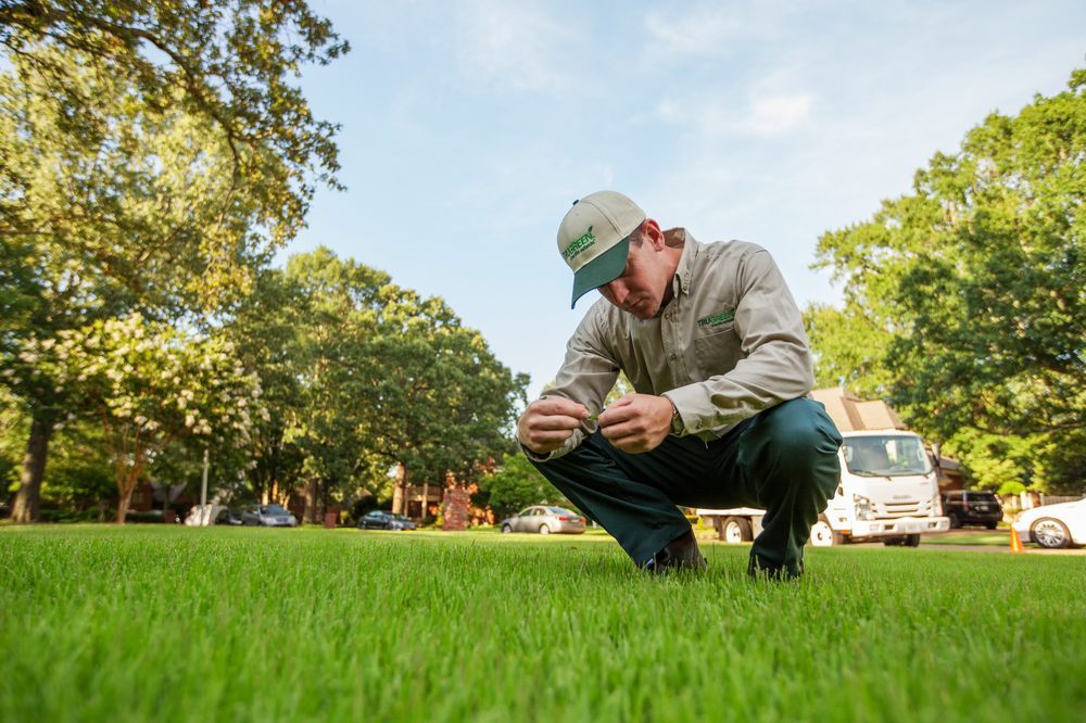 Photo of TruGreen Lawn Care