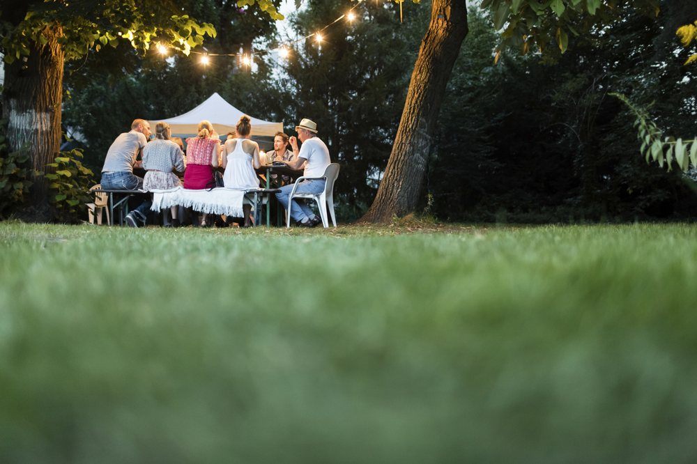 Photo of TruGreen Lawn Care