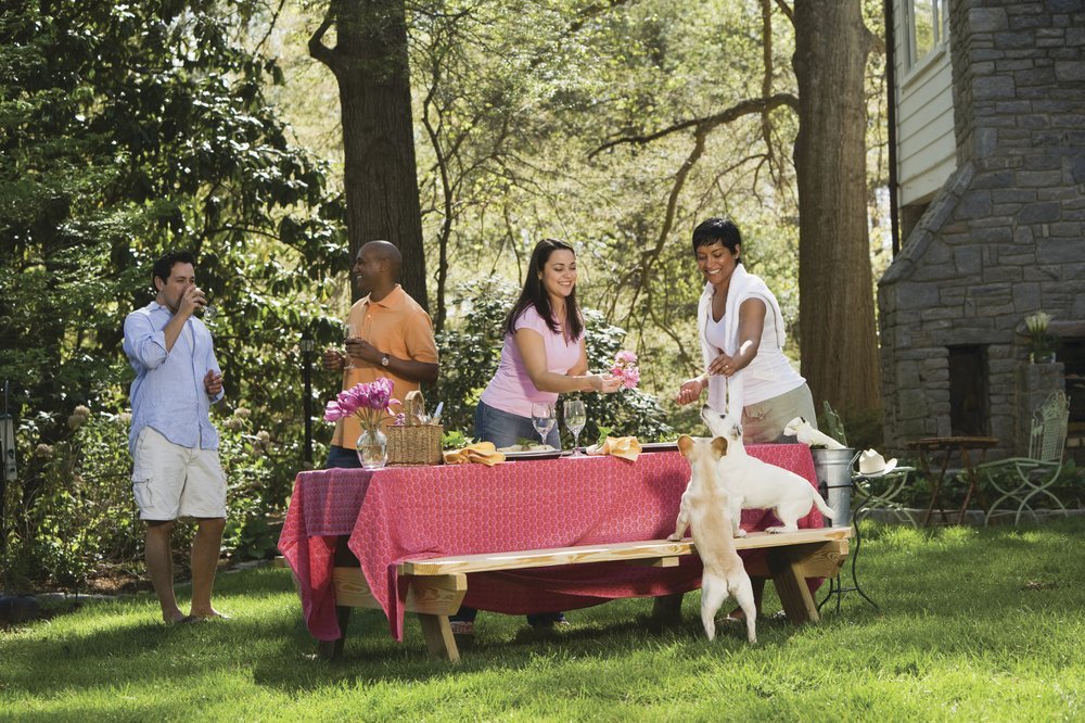 Photo of TruGreen Lawn Care