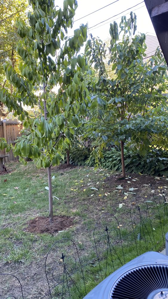 Photo of Superior Lawn Care