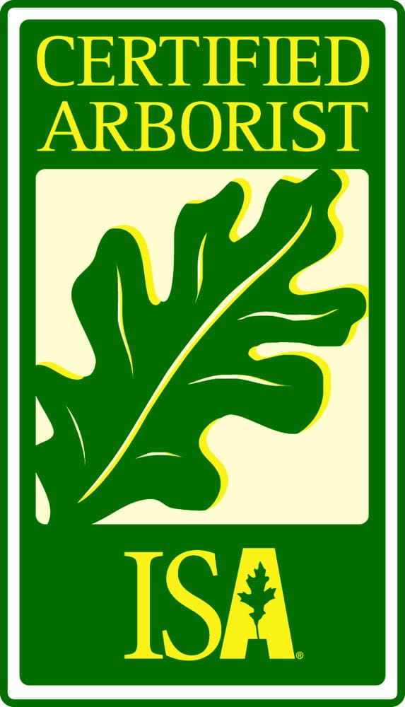 Photo of Arbor Doctor