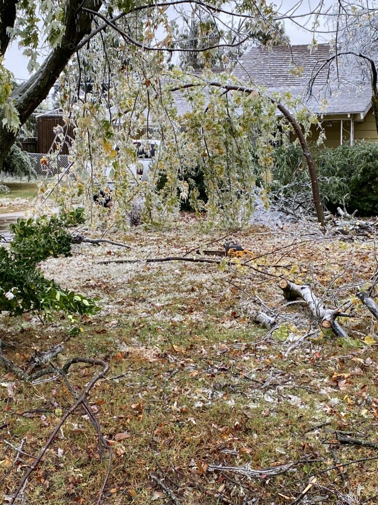 Photo of Dominicks Landscapes