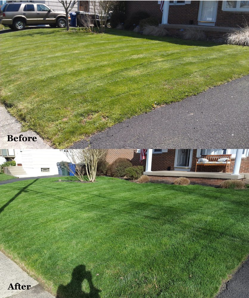 Photo of Trulandscaping