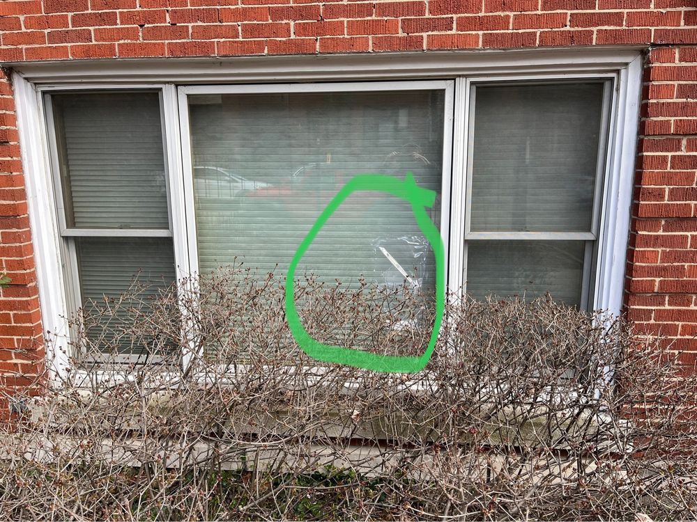 Photo of All American Glass