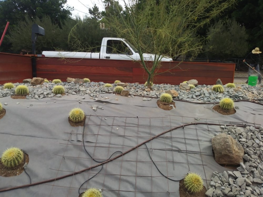 Photo of GreenOasis