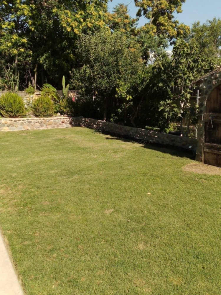 Photo of Porterville Handyman Service