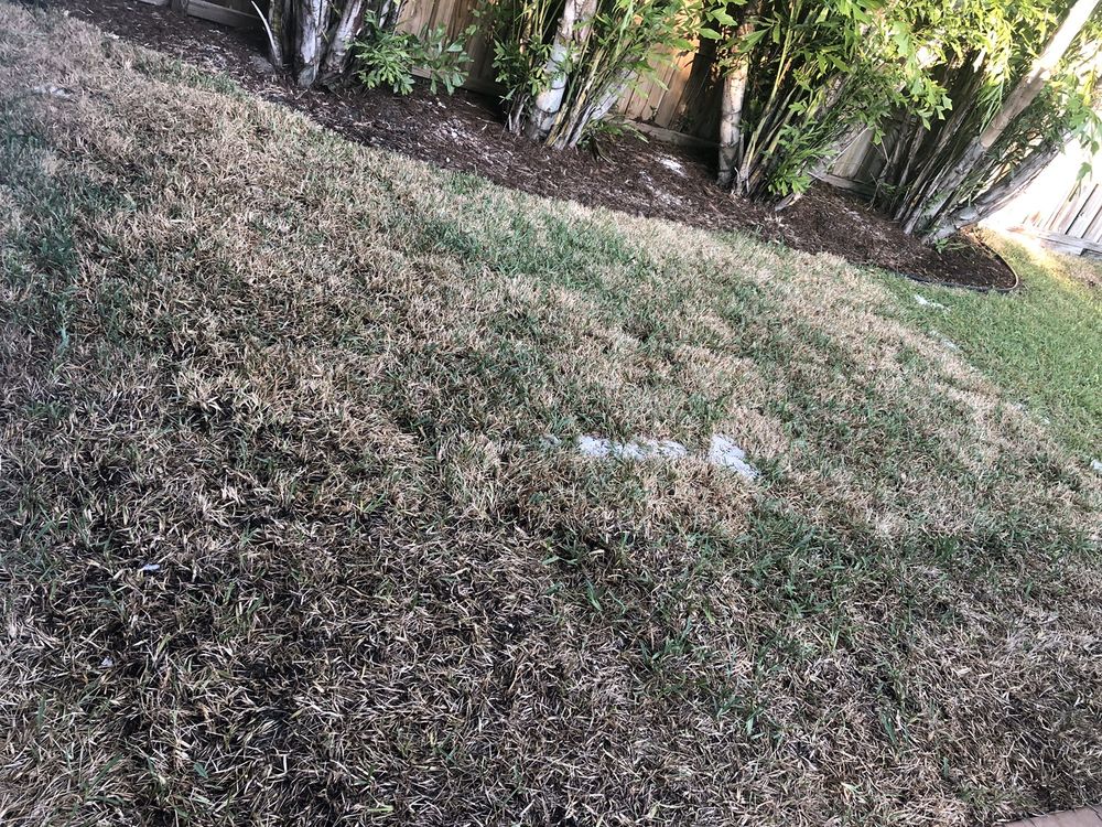 Photo of Xtreme Landscaping