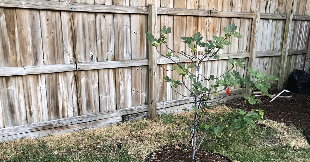 Photo of Xtreme Landscaping