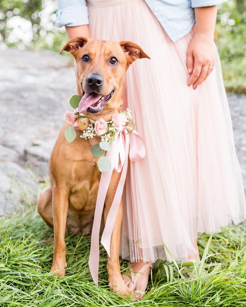 Photo of Kate & Co Events