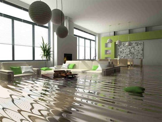 Photo of San Diego Water Damage Services