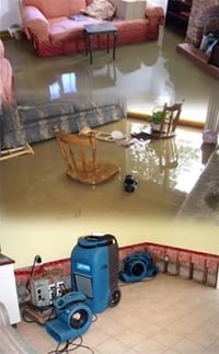 Photo of San Diego Water Damage Services