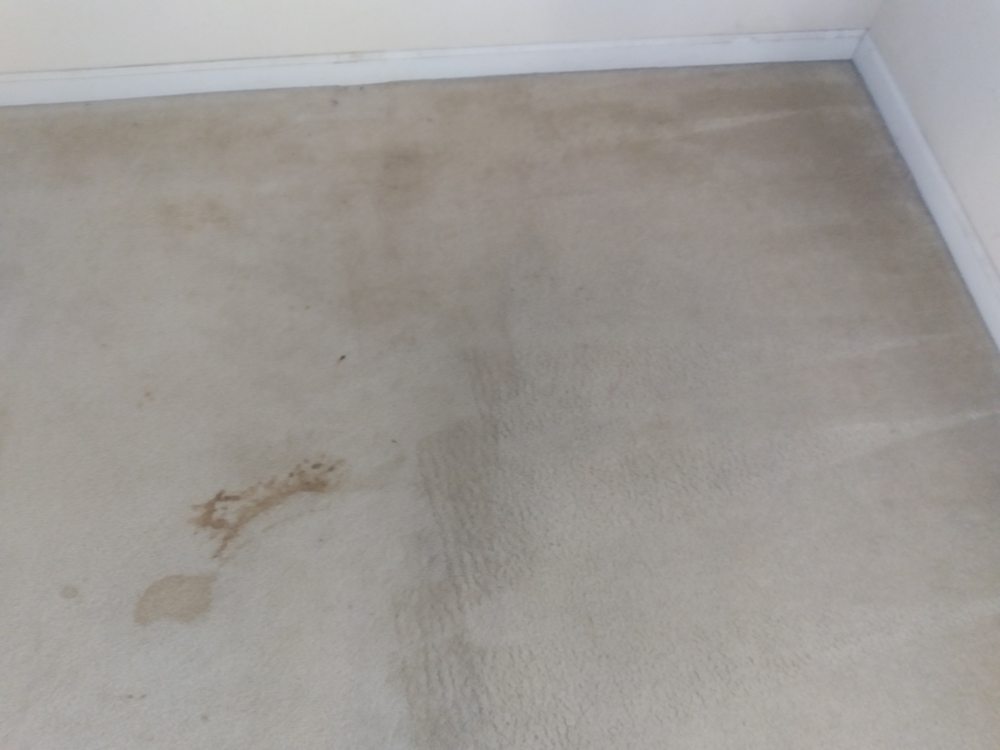 Photo of A1 Fresh & Clean Carpet Service