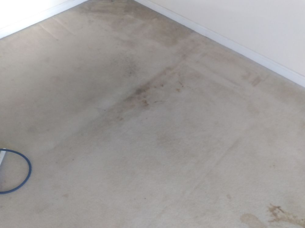 Photo of A1 Fresh & Clean Carpet Service