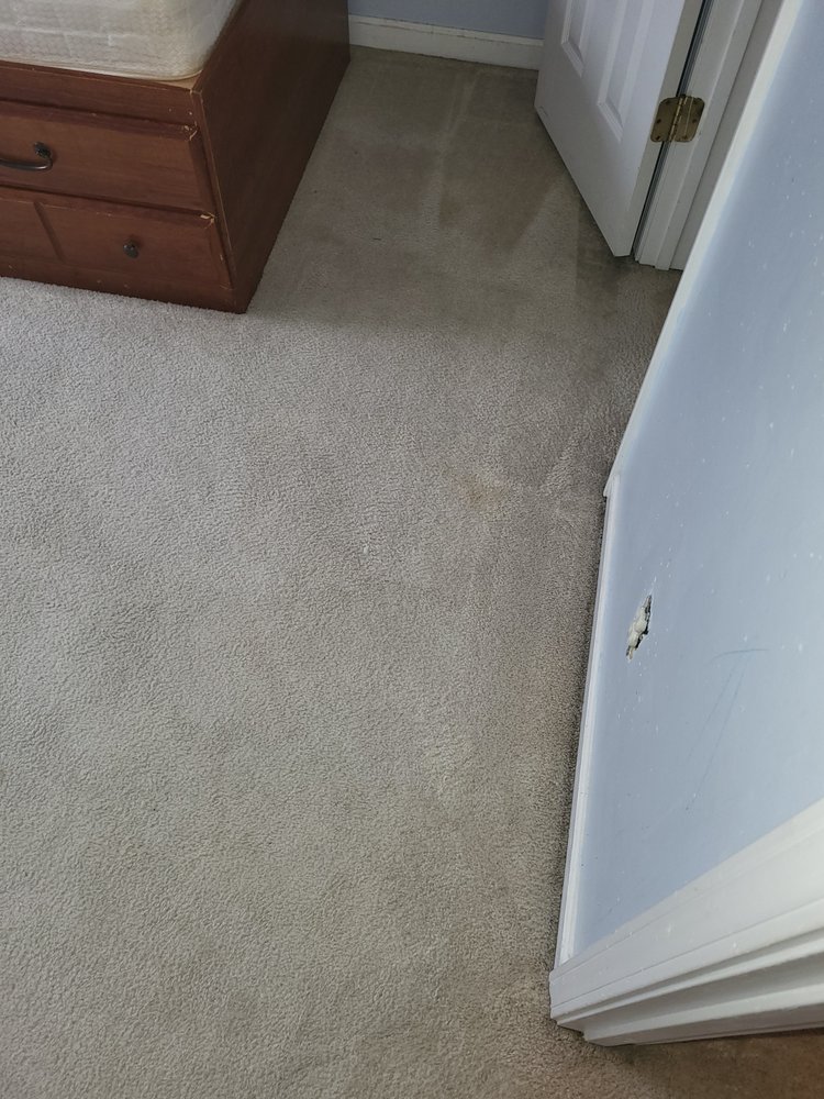 Photo of A1 Fresh & Clean Carpet Service