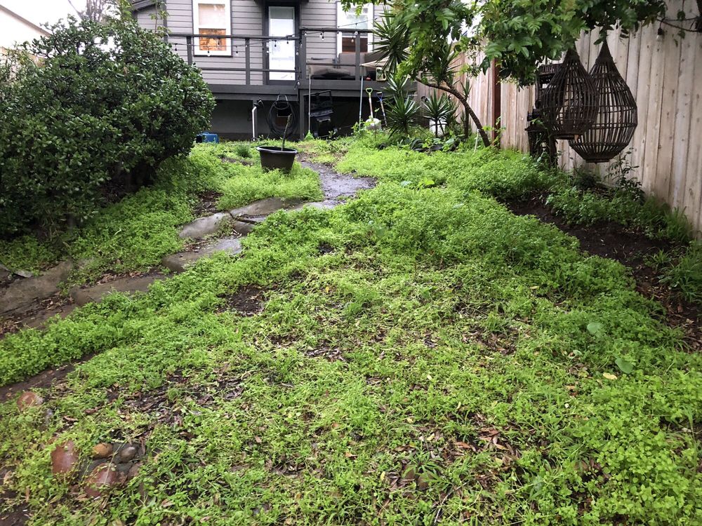 Photo of San Diego Landscape Solutions