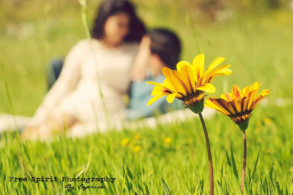 Photo of Free Spirit Photography