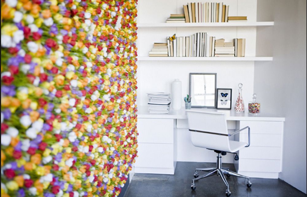 Photo of CKID Studio