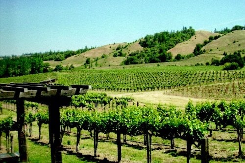 Photo of Uncorked and Decanted