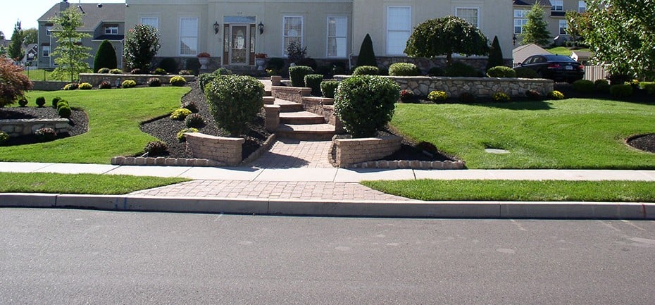 Photo of Dynamic Landscaping and Irrigation