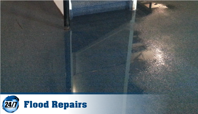 Photo of Best Water Damage Repair Experts