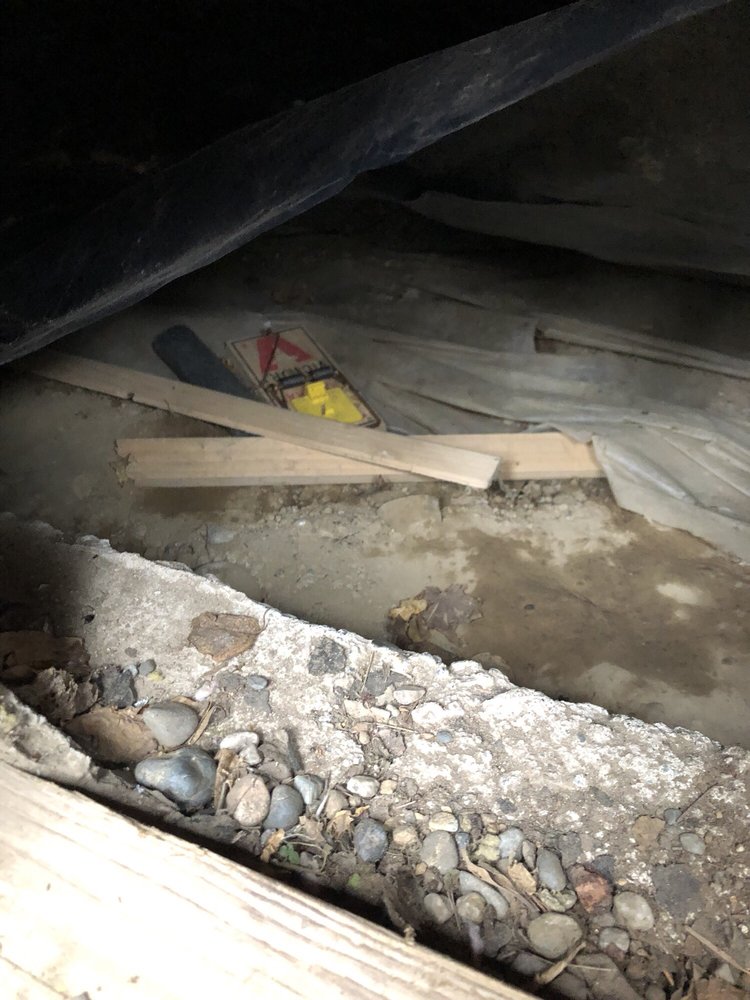 Photo of Sun's Energy Insulation Service