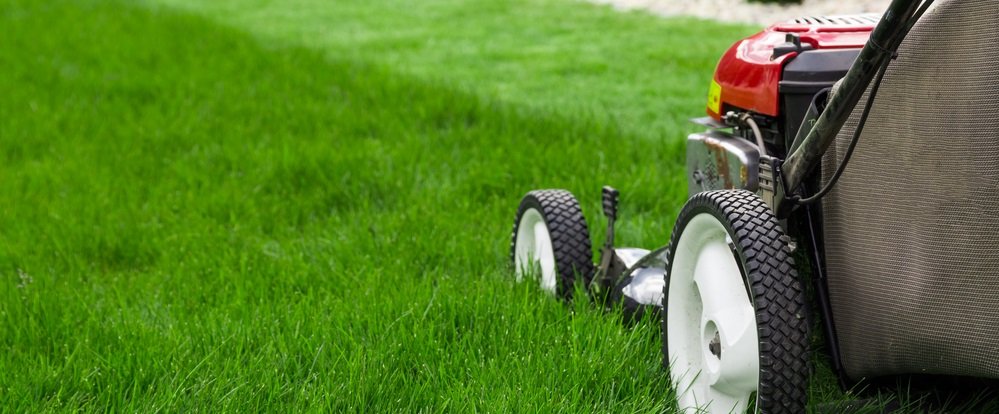 Photo of CrackerJack LawnCare
