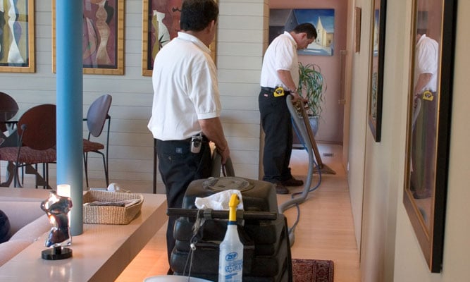 Photo of Long Island Carpet Cleaners