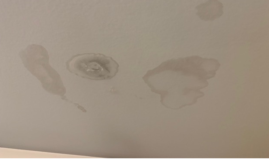 Photo of Steck Roofing