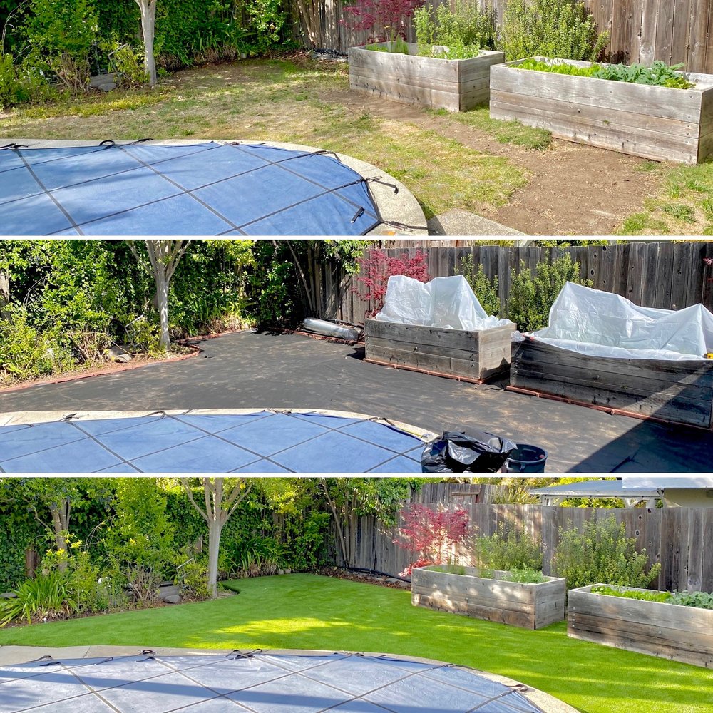 Photo of Better Than Real Artificial Grass