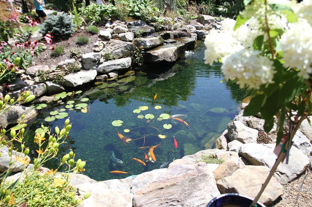 Photo of Plumline Nursery
