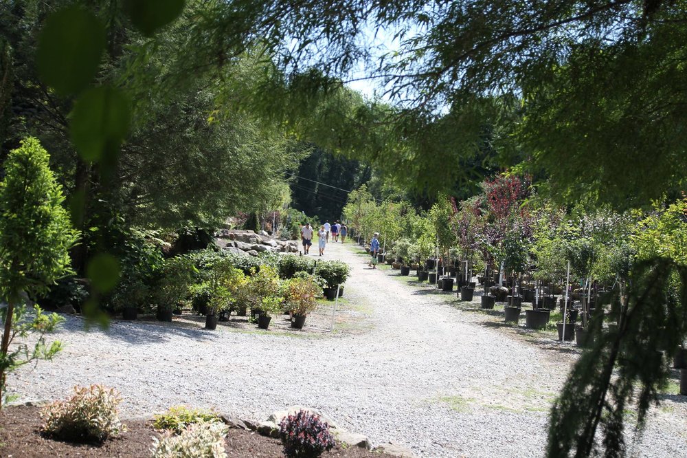Photo of Plumline Nursery