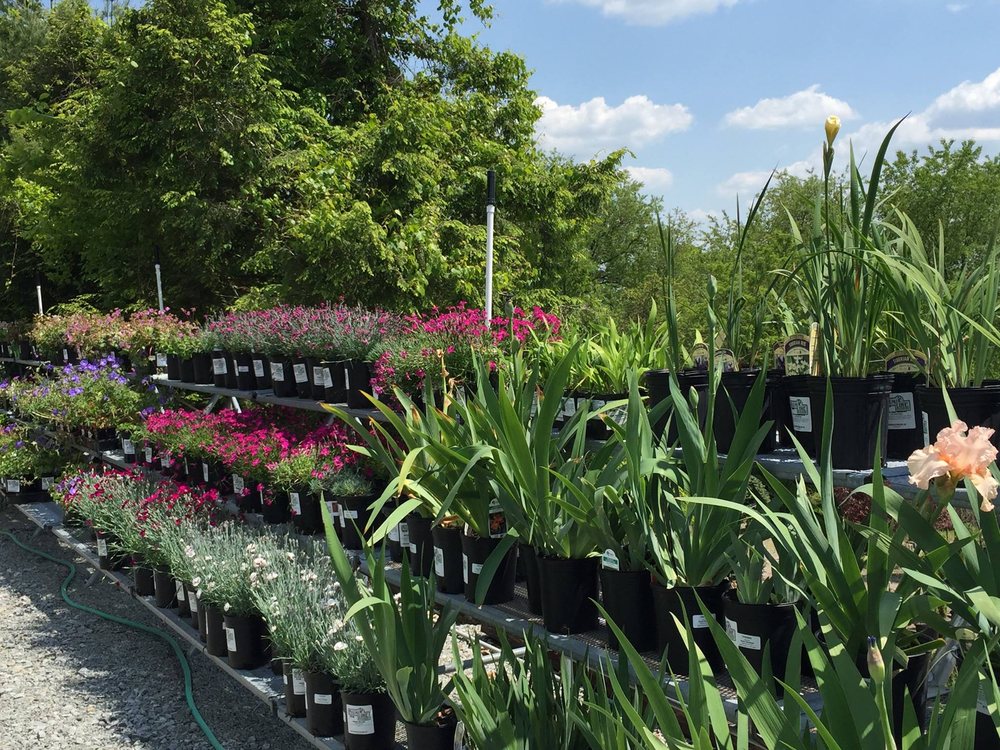 Photo of Plumline Nursery