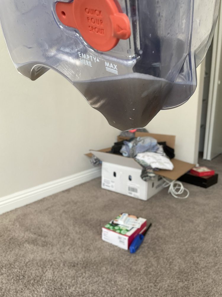 Photo of Musser Brother Carpet Cleaning