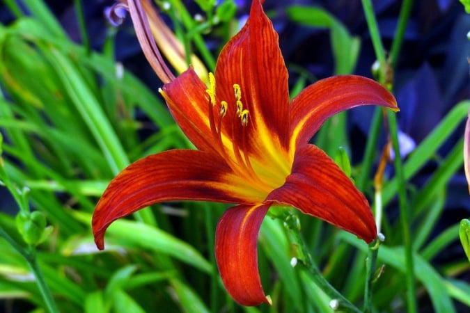 Photo of Crabtree Garden Center & Landscaping