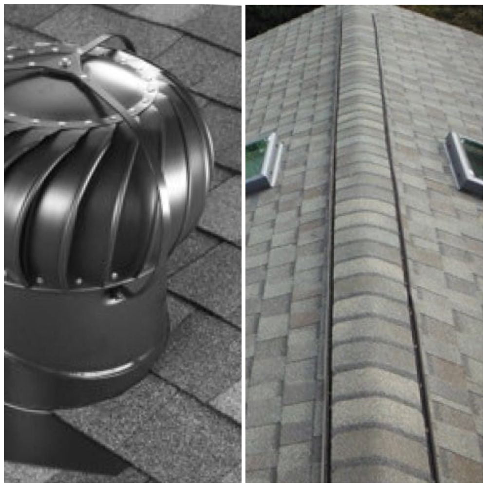 Photo of Salter Exteriors