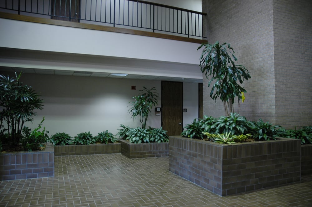Photo of Gusma Properties