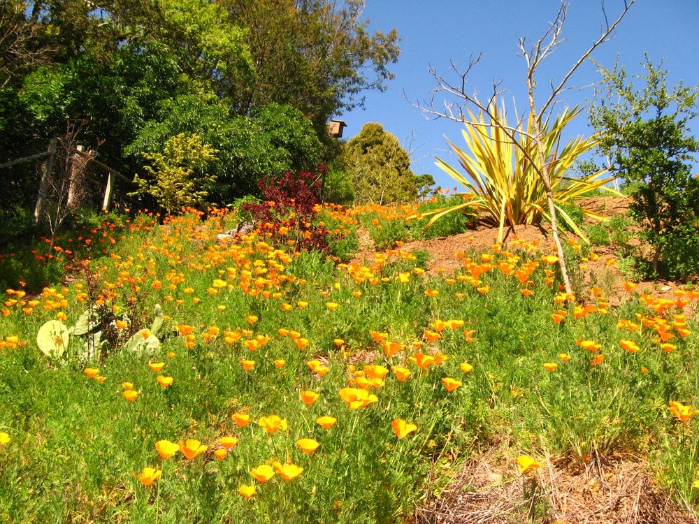 Photo of Wave Hill Landscaping and Irrigation