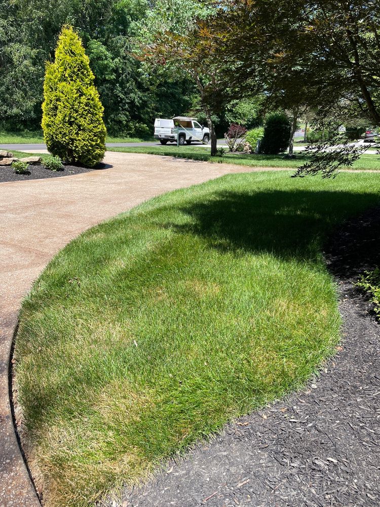 Photo of Farison Lawn Care