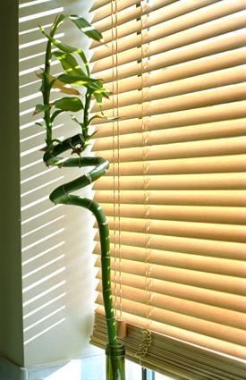 Photo of Affordable Quality Blinds