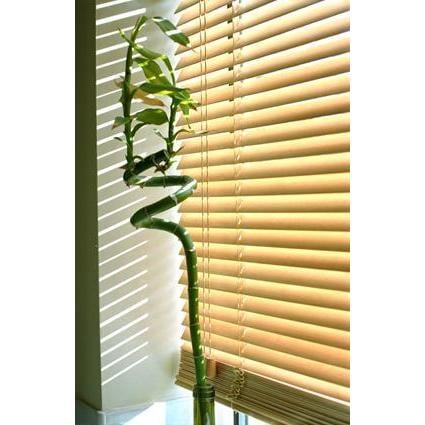 Photo of Affordable Quality Blinds
