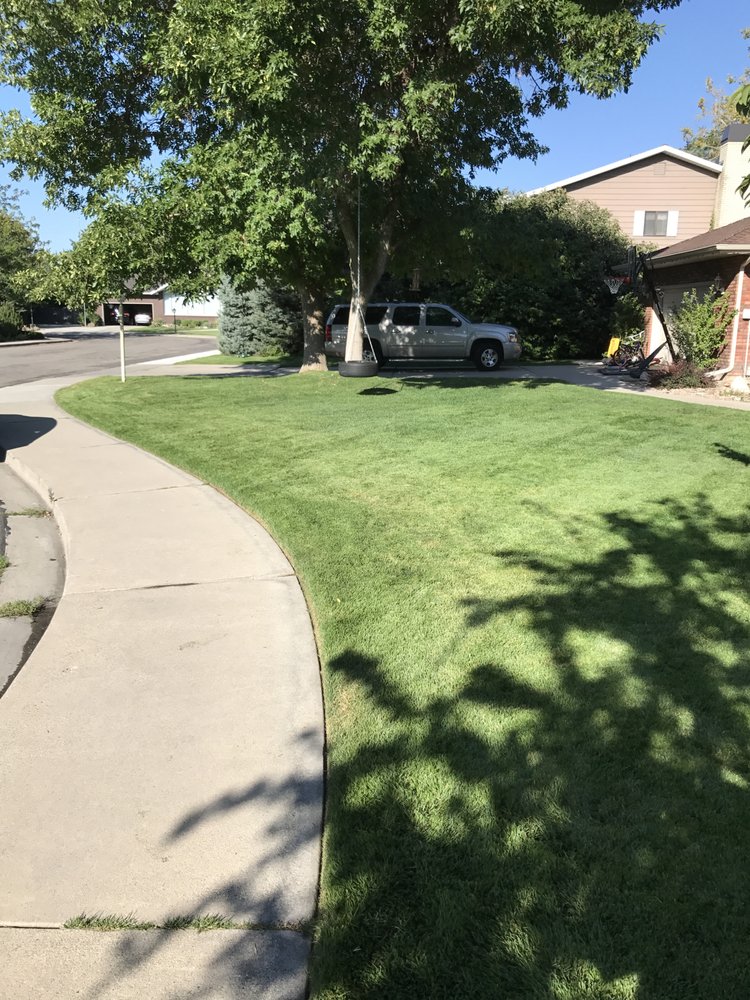 Photo of Extra Mile Landscape & Irrigation