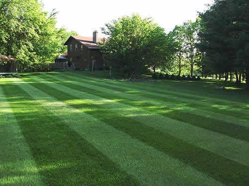 Photo of Charleston's Outdoor Services