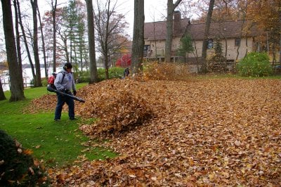 Photo of Charleston's Outdoor Services