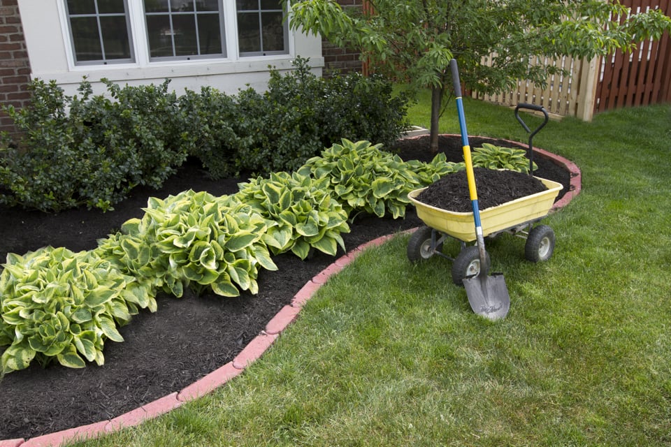 Photo of Charleston's Outdoor Services