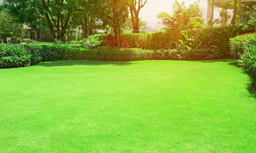 Photo of Luxury Lawn and Mosquito