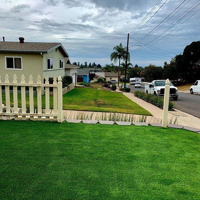 Photo of Alpha Turf